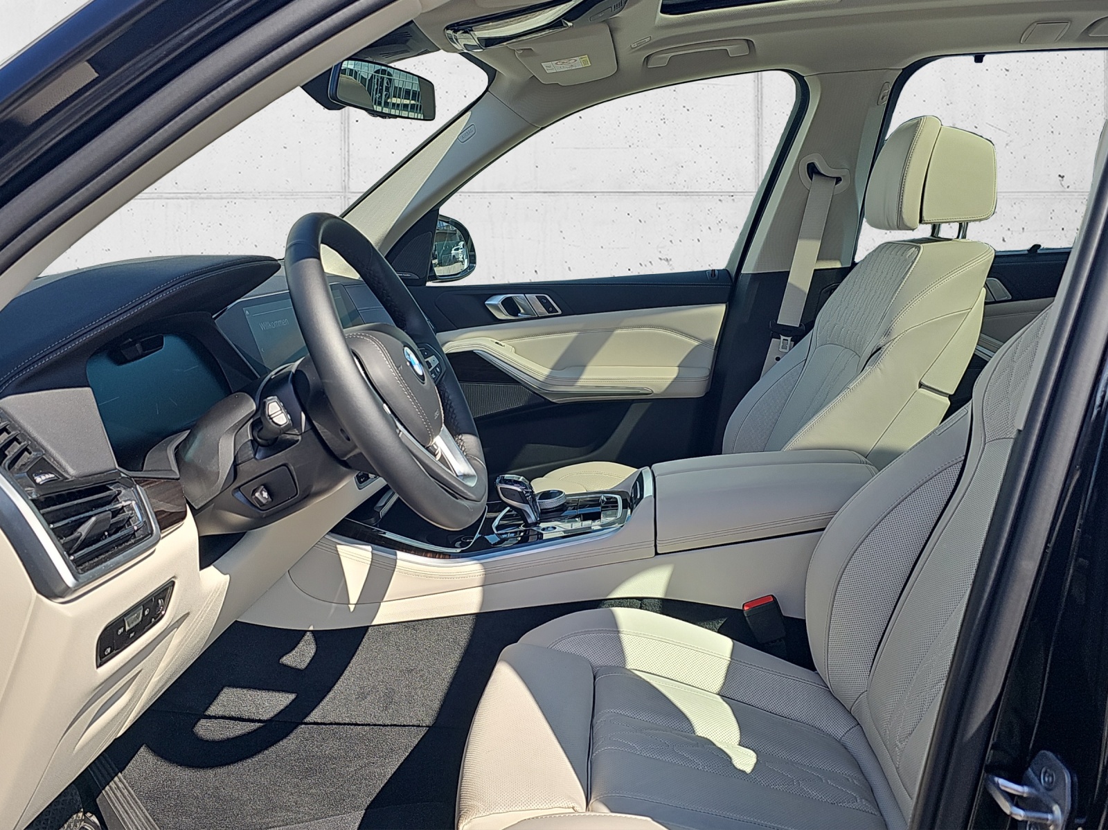 BMW X5 xDrive 48V 40d xLine-image-9