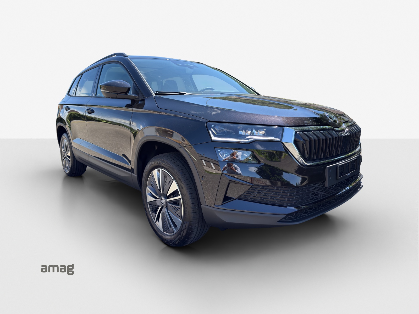 SKODA Karoq 1.5 TSI Dynamic DSG-image-5