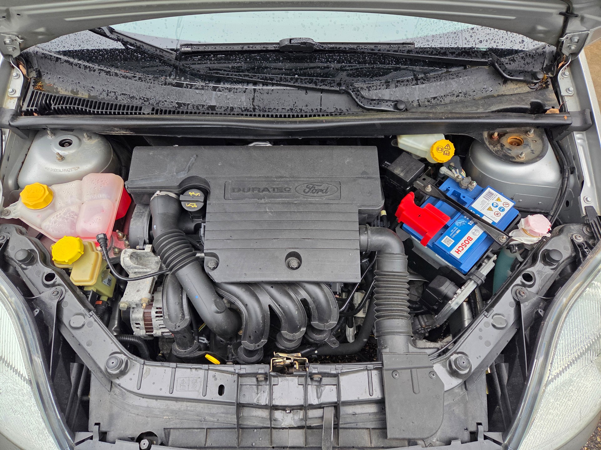 FORD FIESTA-image-9