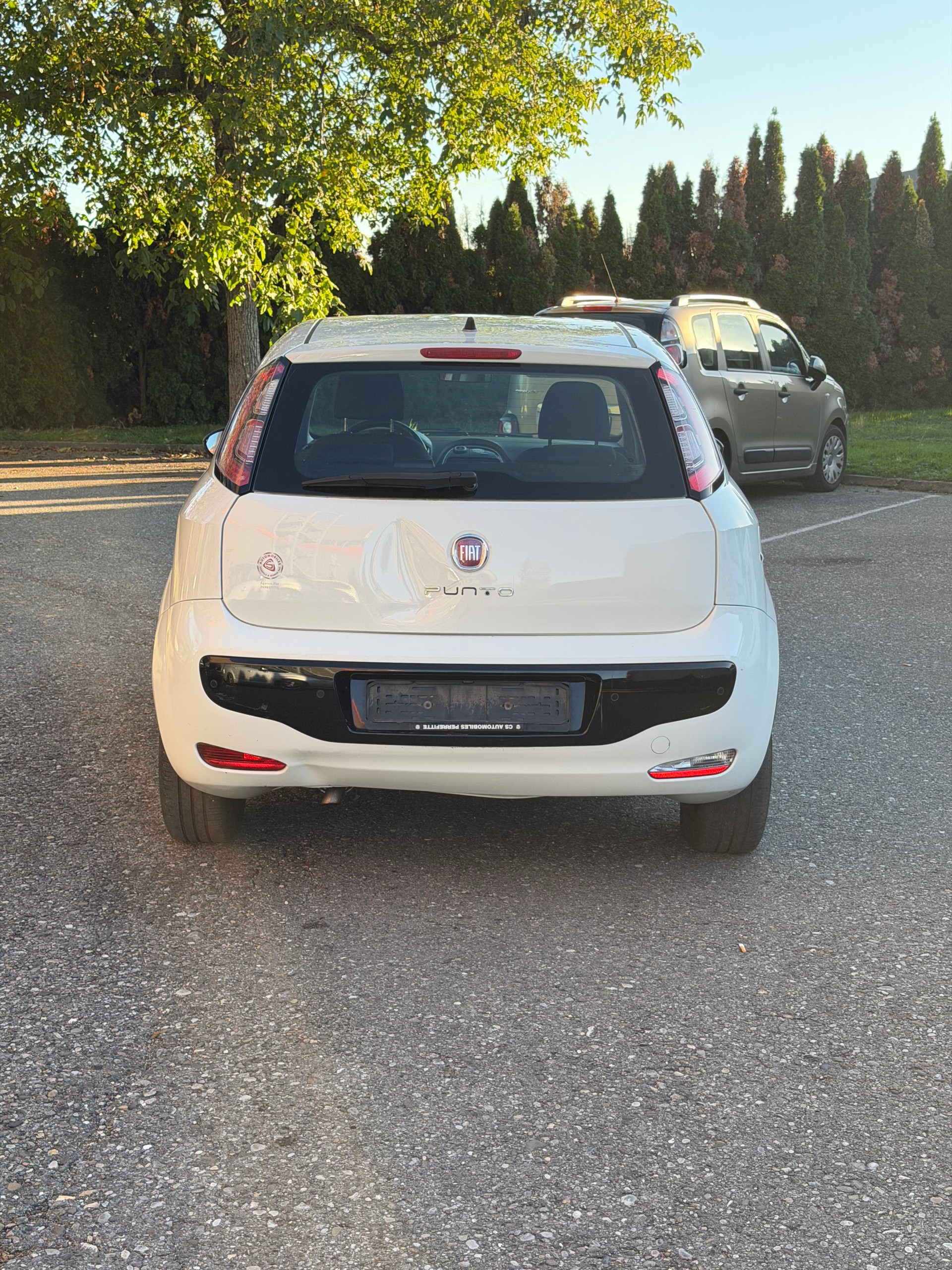 FIAT Punto Evo 1.4 MyLife-image-3