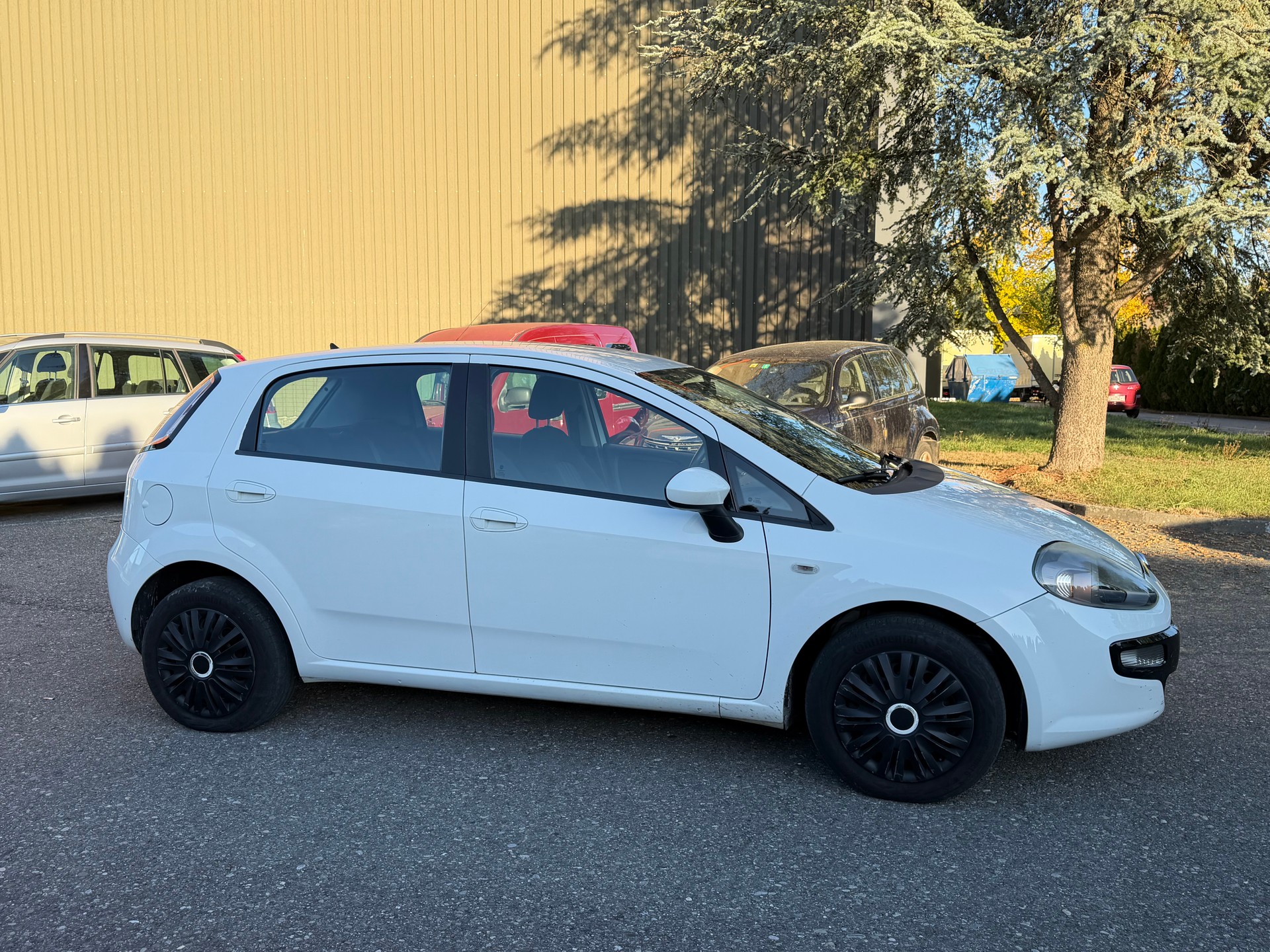 FIAT Punto Evo 1.4 MyLife-image-1