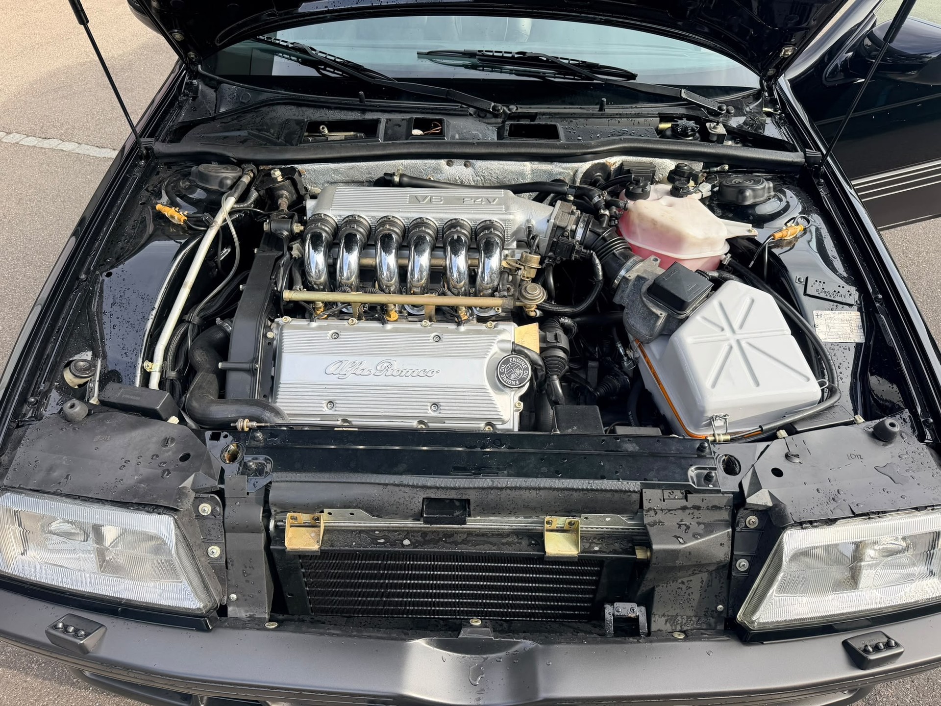 ALFA ROMEO 164 3.0 24V Q.Verde-image-6