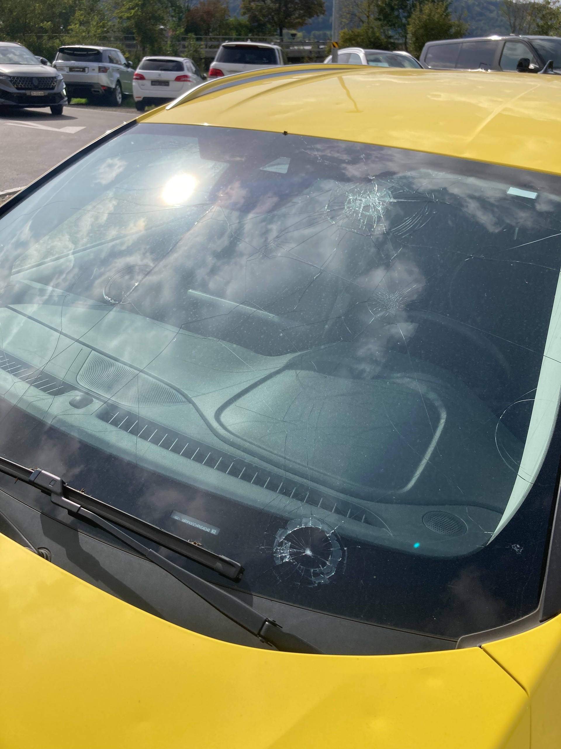 FORD Focus 1.0 MHEV Titanium Automat-image-12