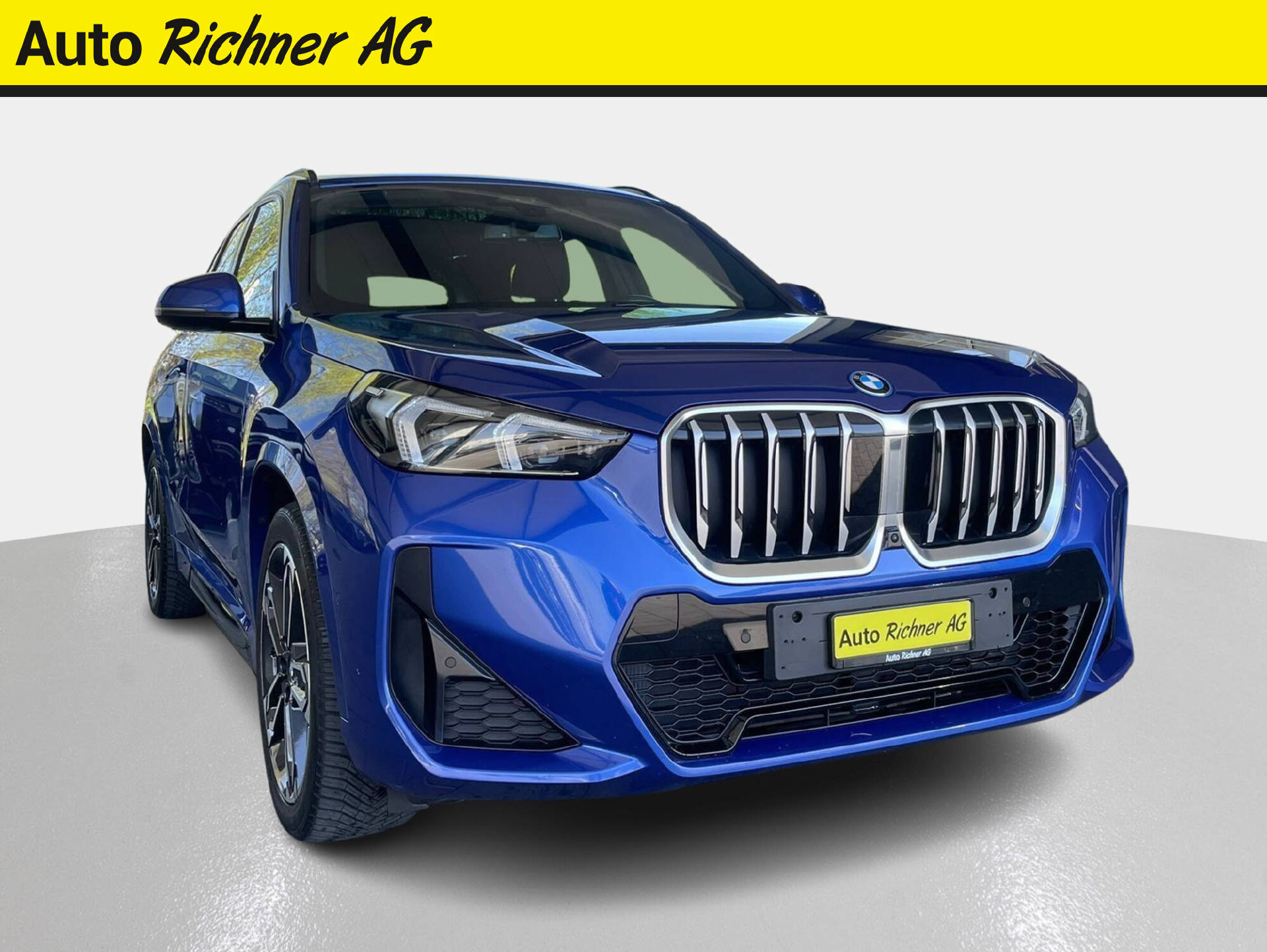 BMW X1 25e xDrive paddles-image-0