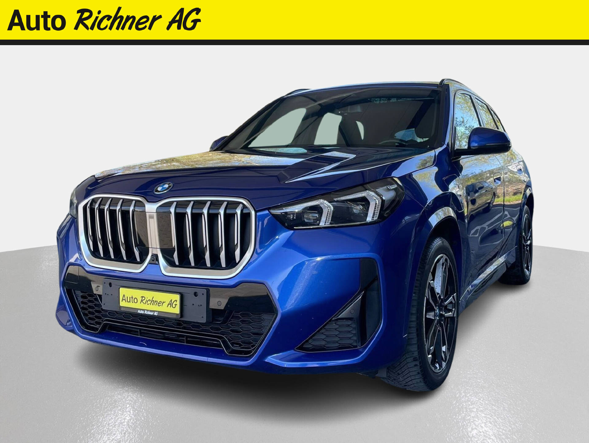 BMW X1 25e xDrive paddles-image-1