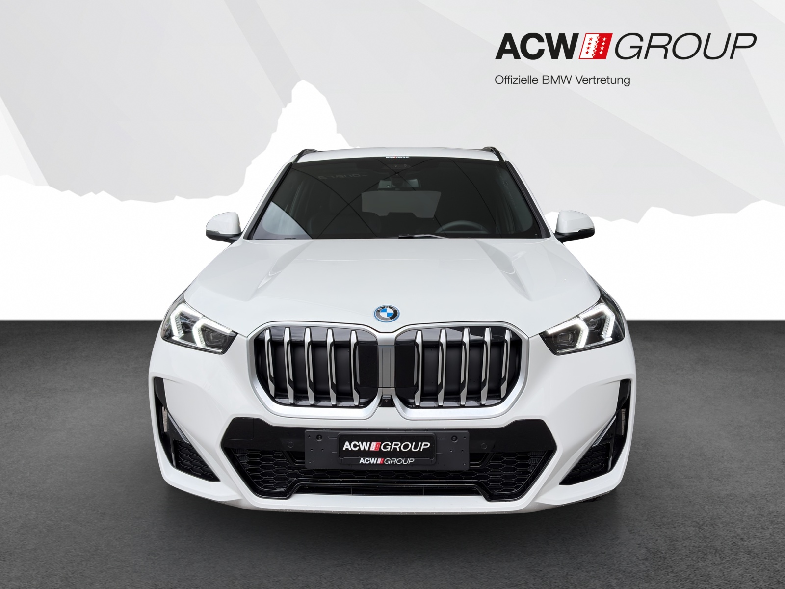 BMW X1 25e xDrive-image-7