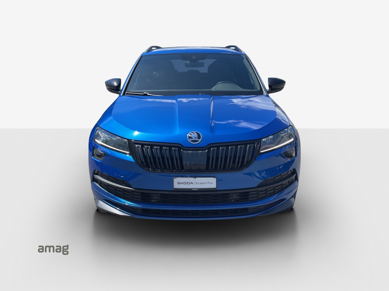 SKODA Karoq 2.0 TDI SCR SportLine 4x4 DSG-image-6