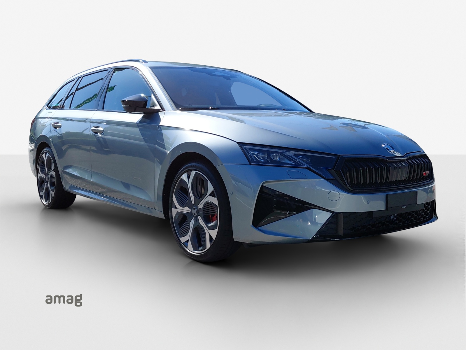 SKODA Octavia Combi 2.0 TSI DSG RS 30 Years Edition-image-5