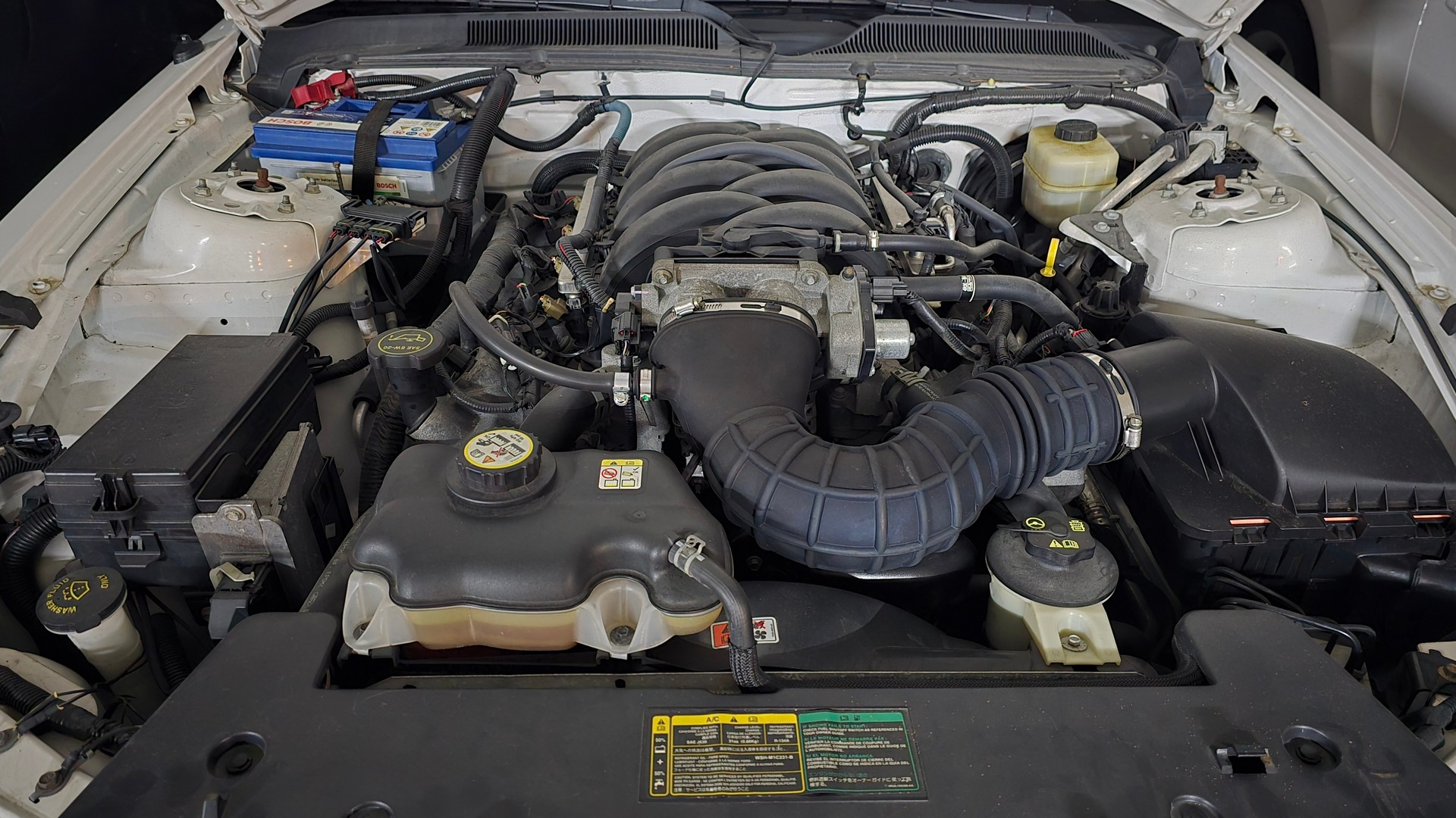 FORD MUSTANG-image-3