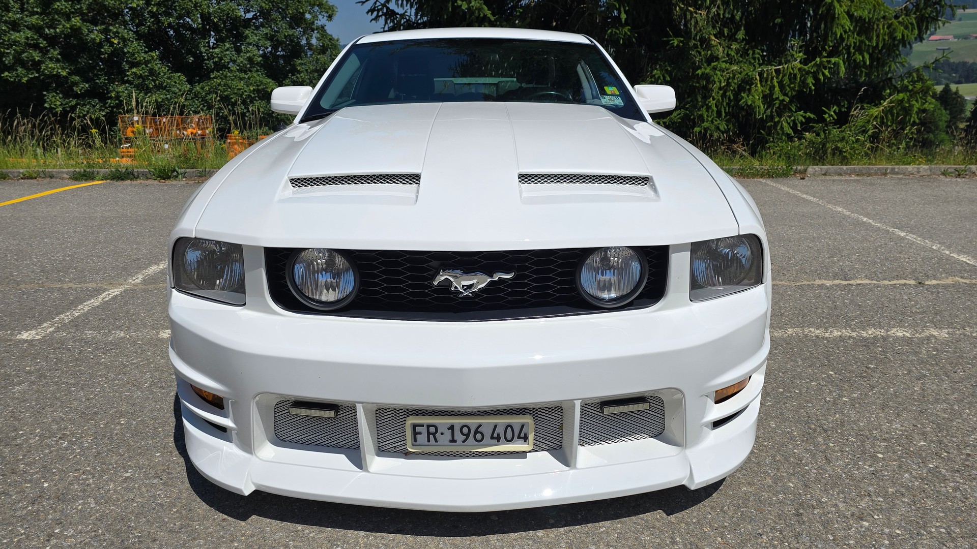 FORD MUSTANG-image-1
