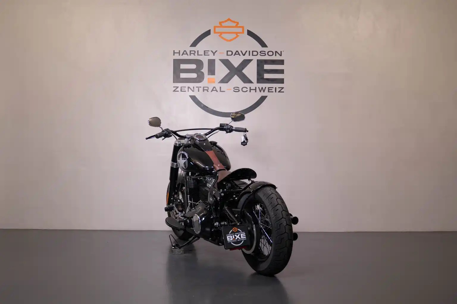 HARLEY-DAVIDSON FLSL Softail Slim 107-showroom-element-3