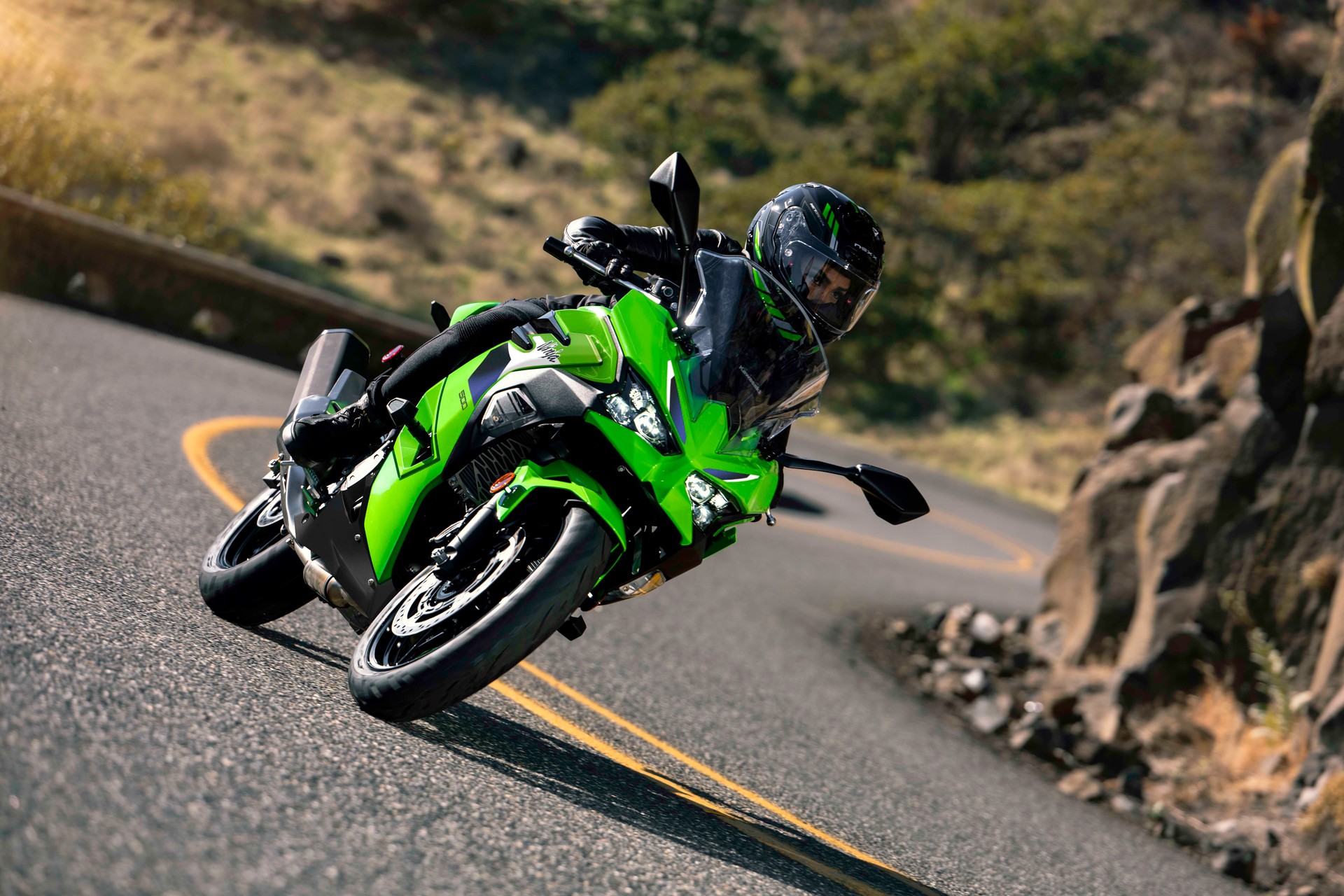 KAWASAKI Ninja 500 SE MY26-image-4