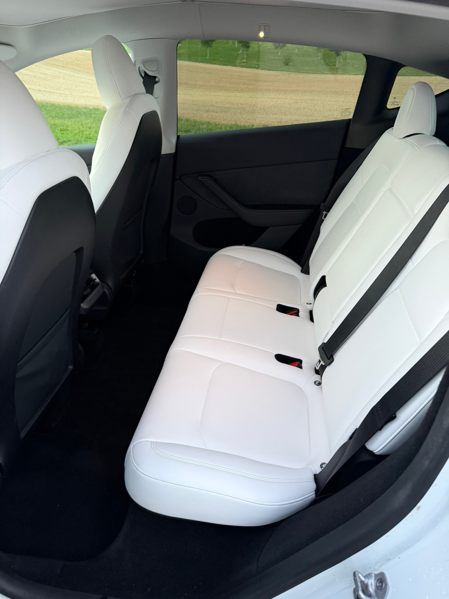 TESLA Hinterradantrieb-image-9