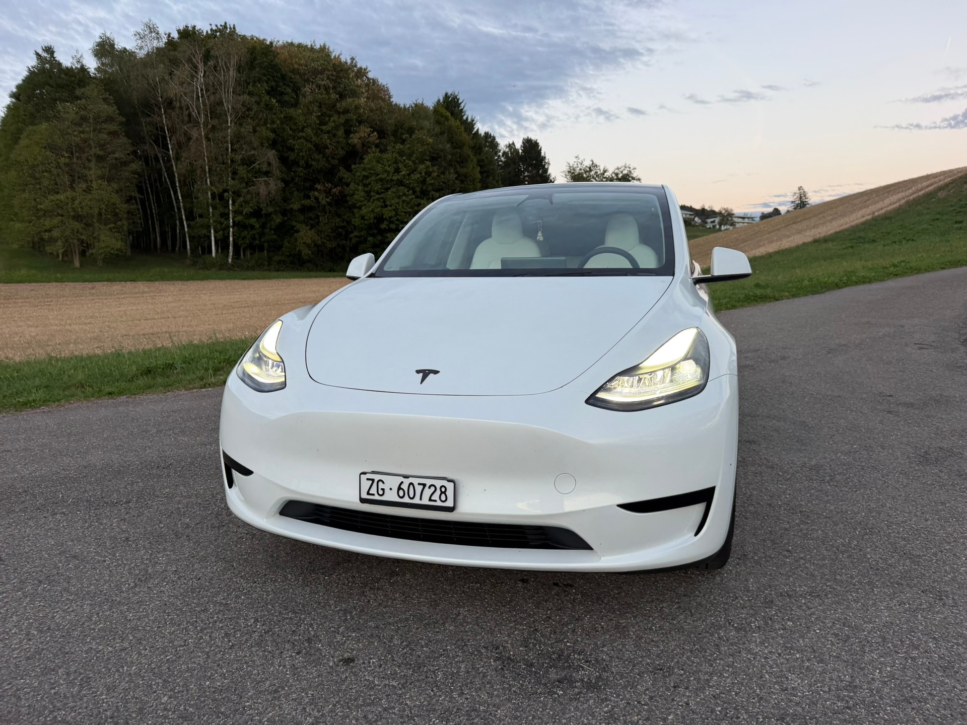 TESLA Hinterradantrieb-image-2
