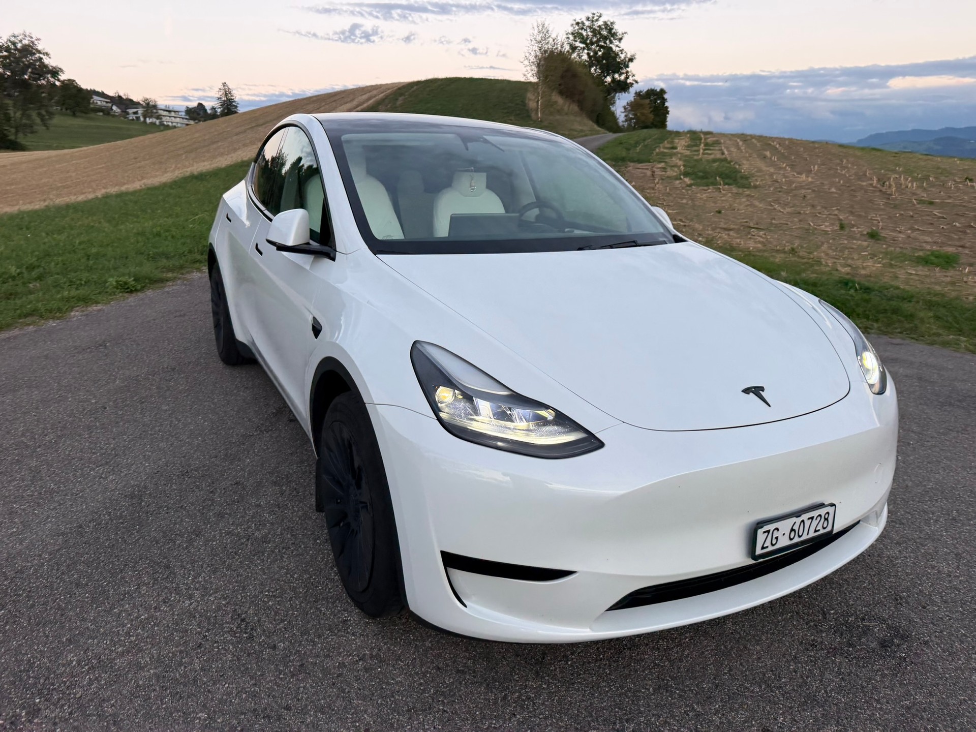 TESLA Hinterradantrieb-image-0