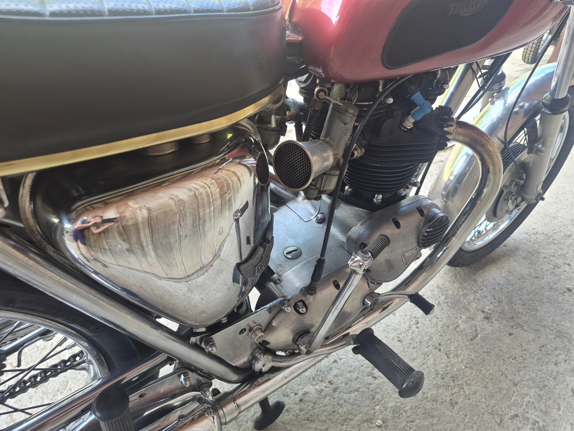 TRIUMPH T120-image-8