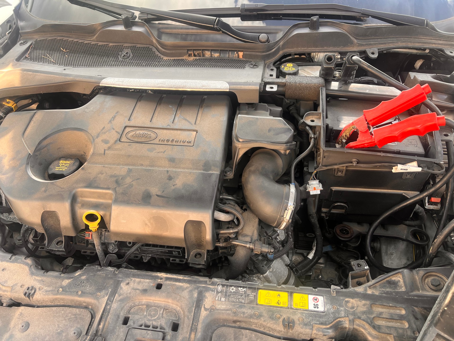 LAND ROVER Range Rover Evoque R-Dynamic D 180 AT9-image-12