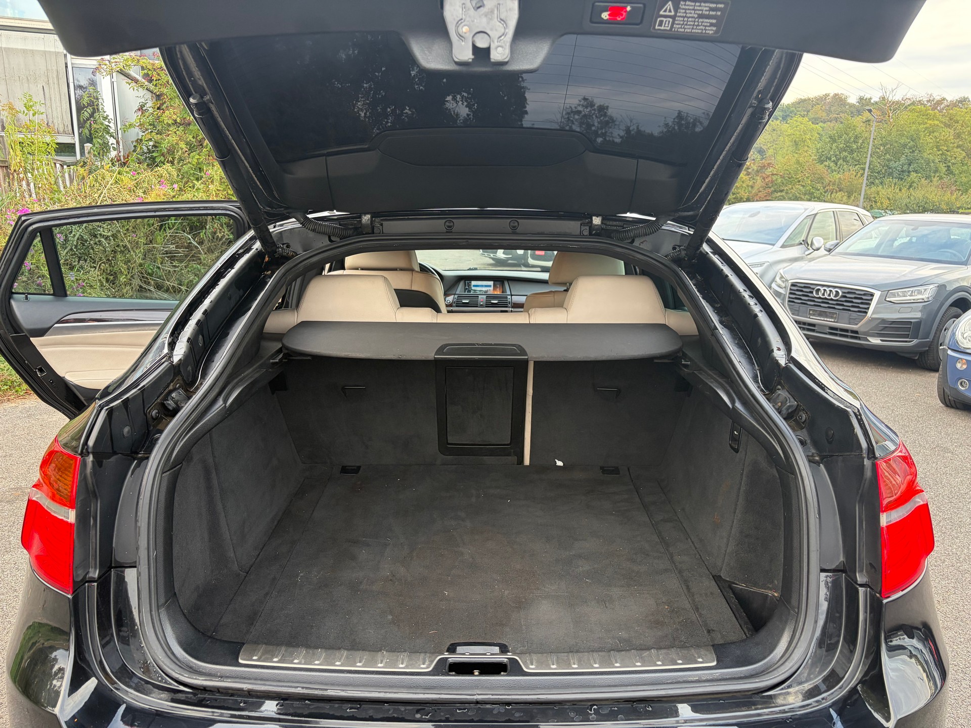 BMW X6 xDrive 35d Steptronic-image-5