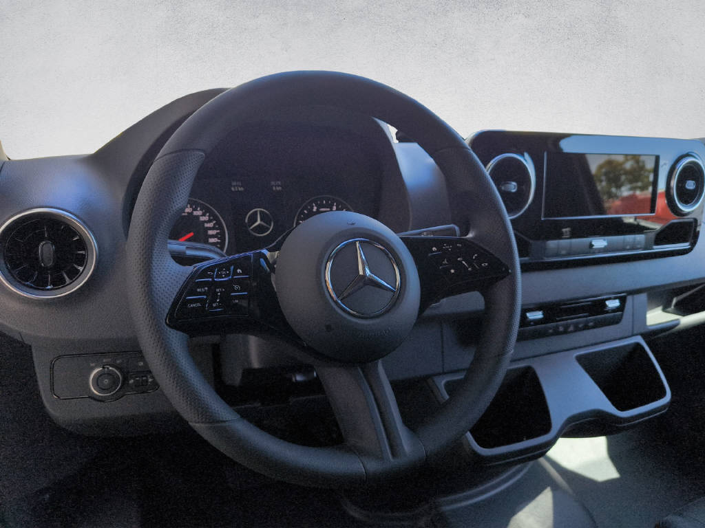 MERCEDES-BENZ Sprinter 317 CDI KA Pro L-image-12