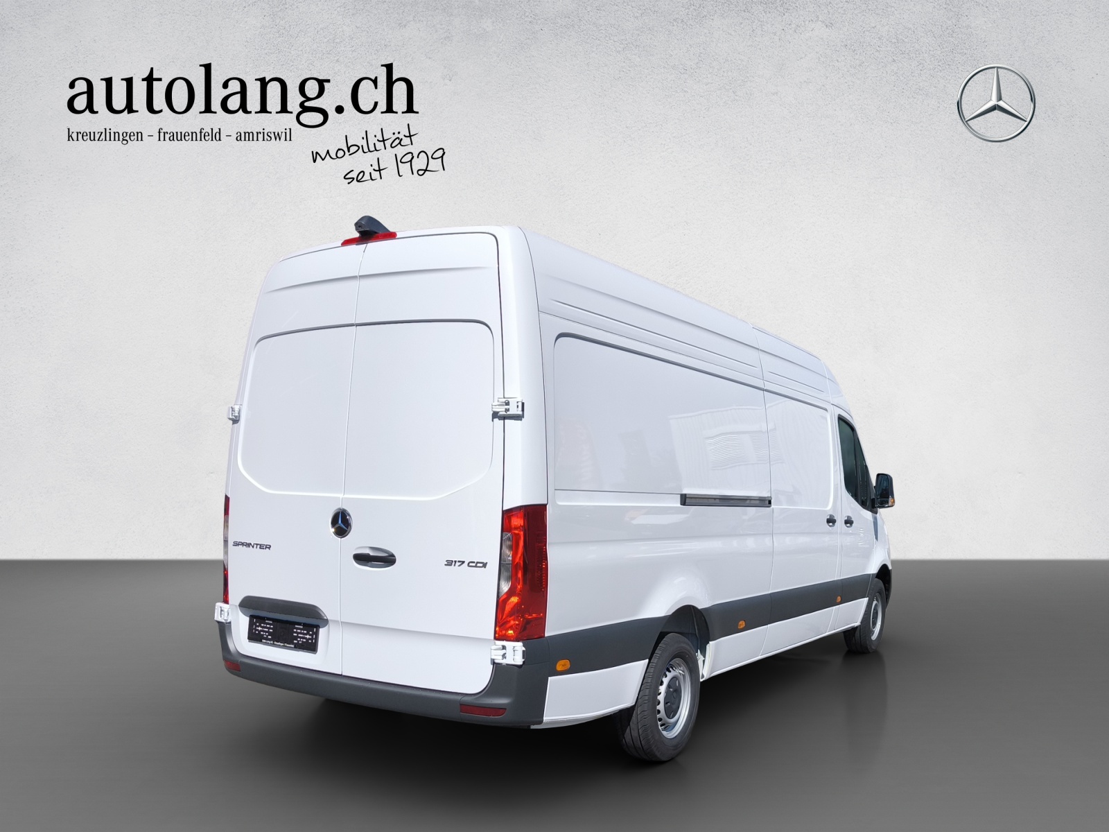 MERCEDES-BENZ Sprinter 317 CDI KA Pro L-showroom-element-2