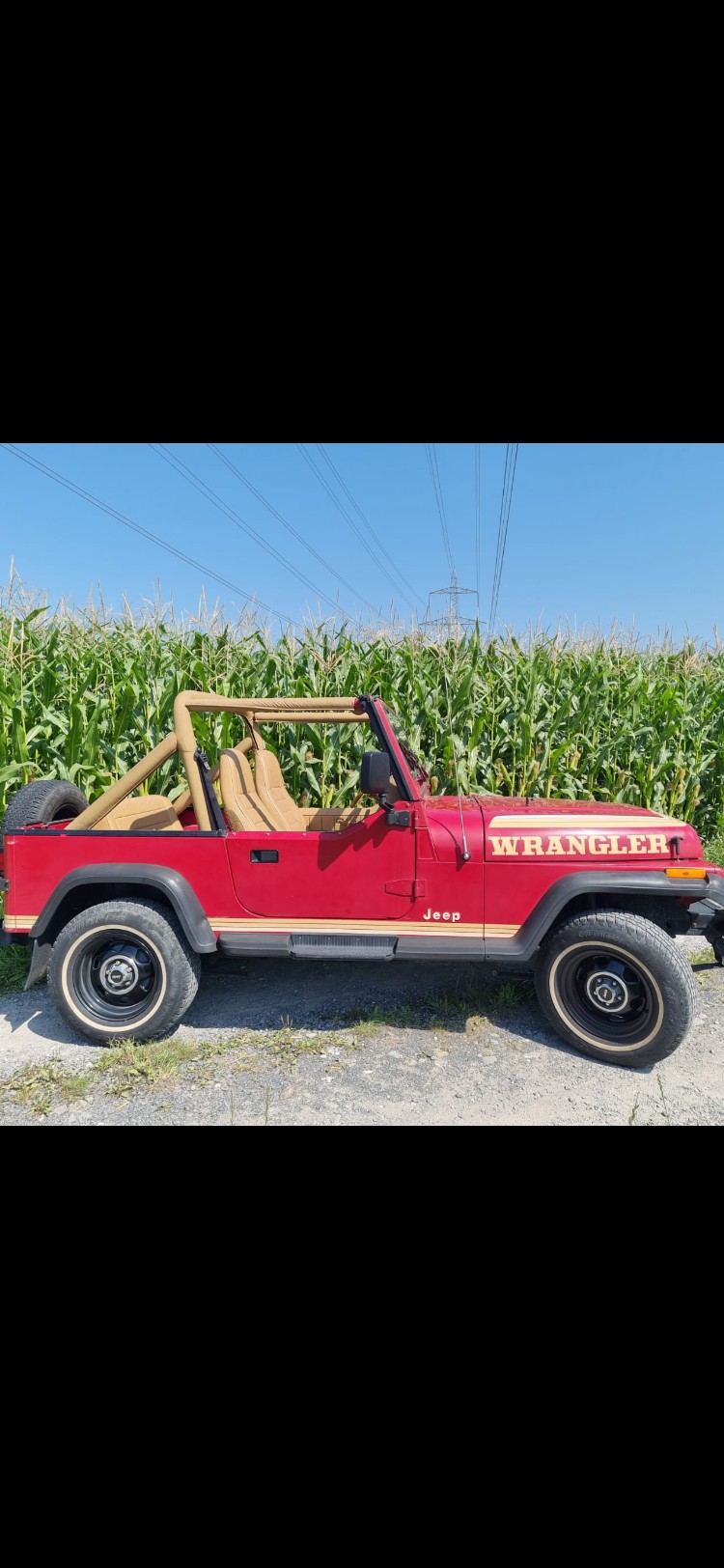 JEEP WRANGLER-image-0