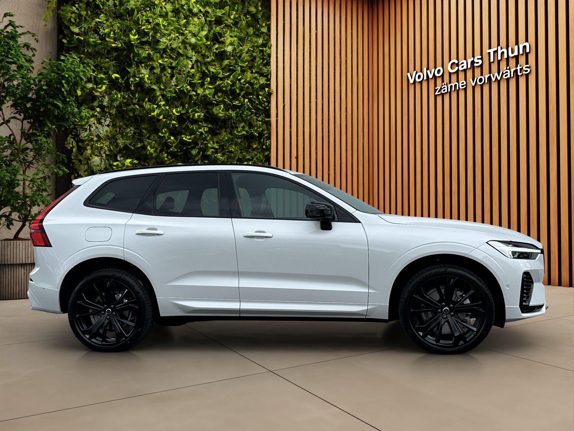 VOLVO XC60 2.0 T8 TE Black Edition eAWD-image-3