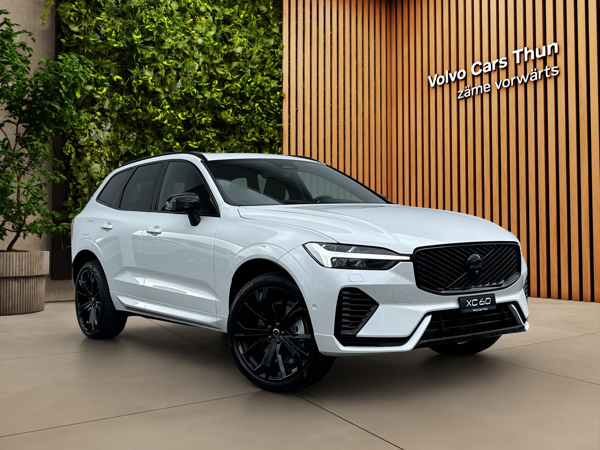 VOLVO XC60 2.0 T8 TE Black Edition eAWD-image-2