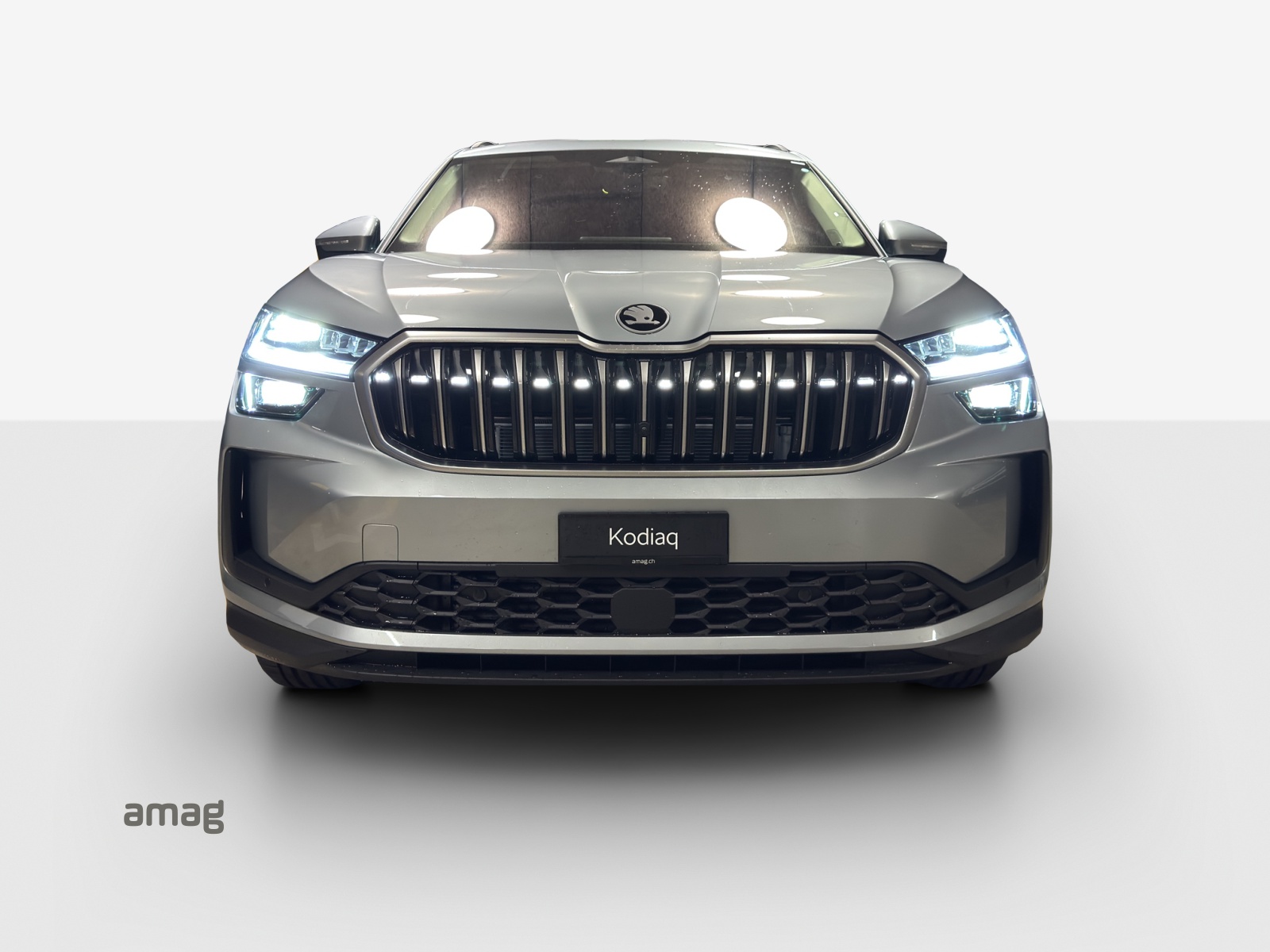SKODA Kodiaq DY 2.0TSI 204PS 7DSG4x4-image-6