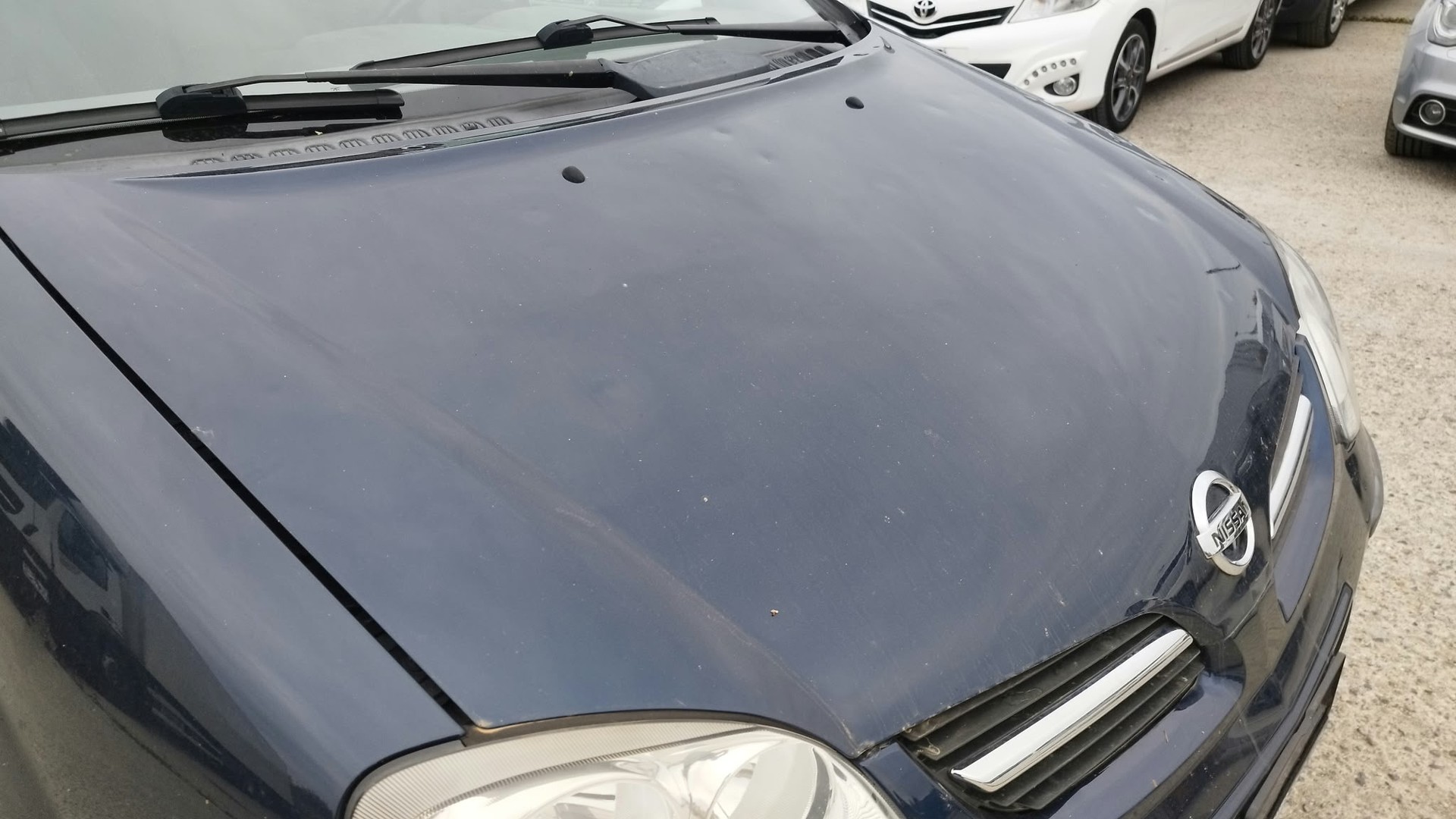 NISSAN Almera Tino 1.8 16V business-image-9