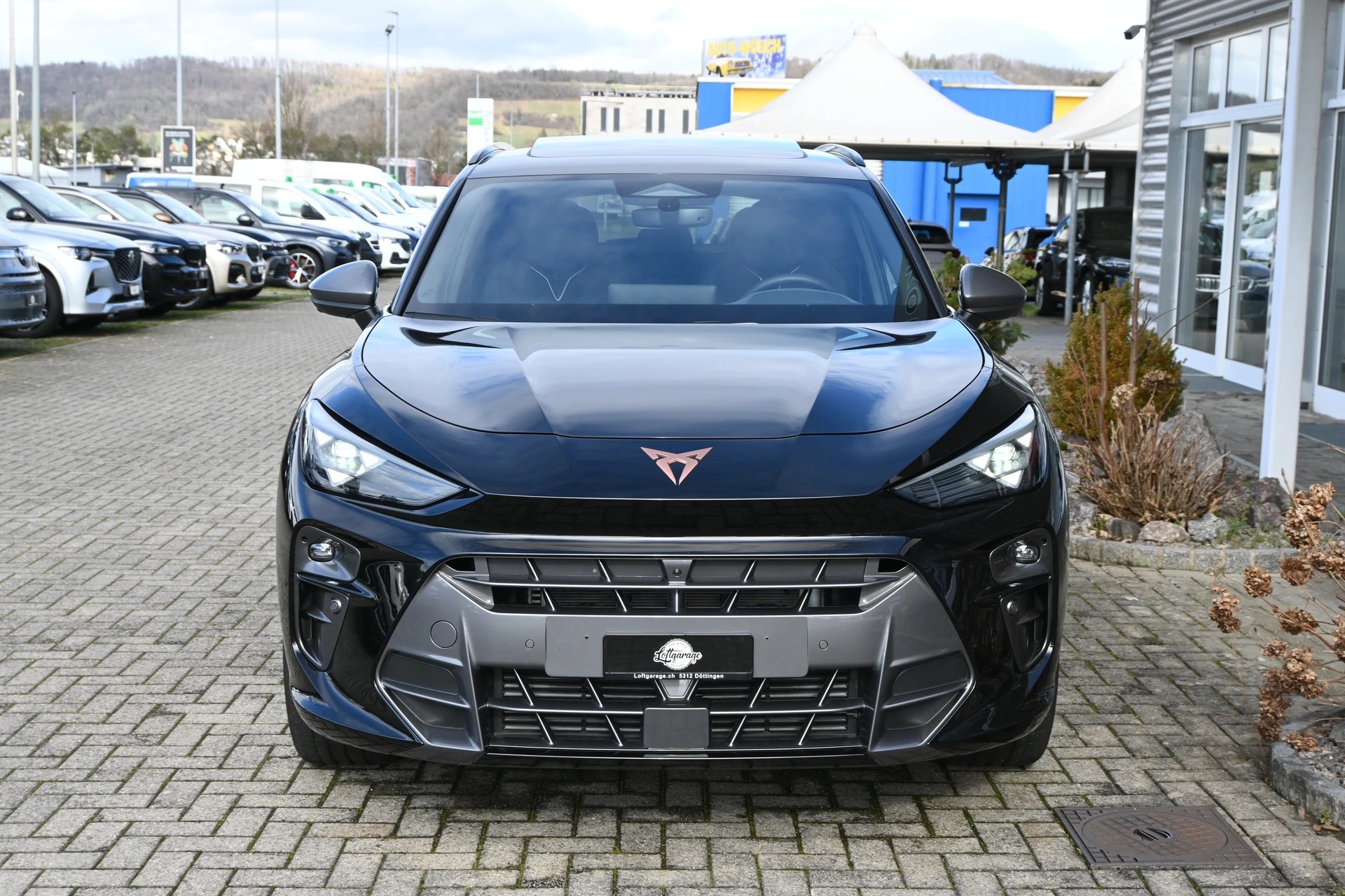 CUPRA Terramar 2.0 TSI DSG 4Drive VZ 265PS + AHK für 2200kg-image-2