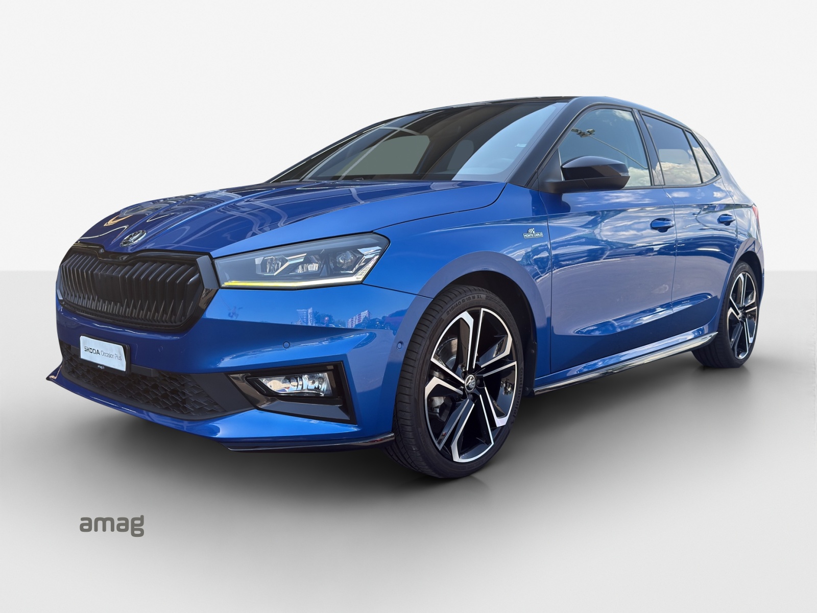 SKODA Fabia 1.0 TSI Monte Carlo DSG-image-0