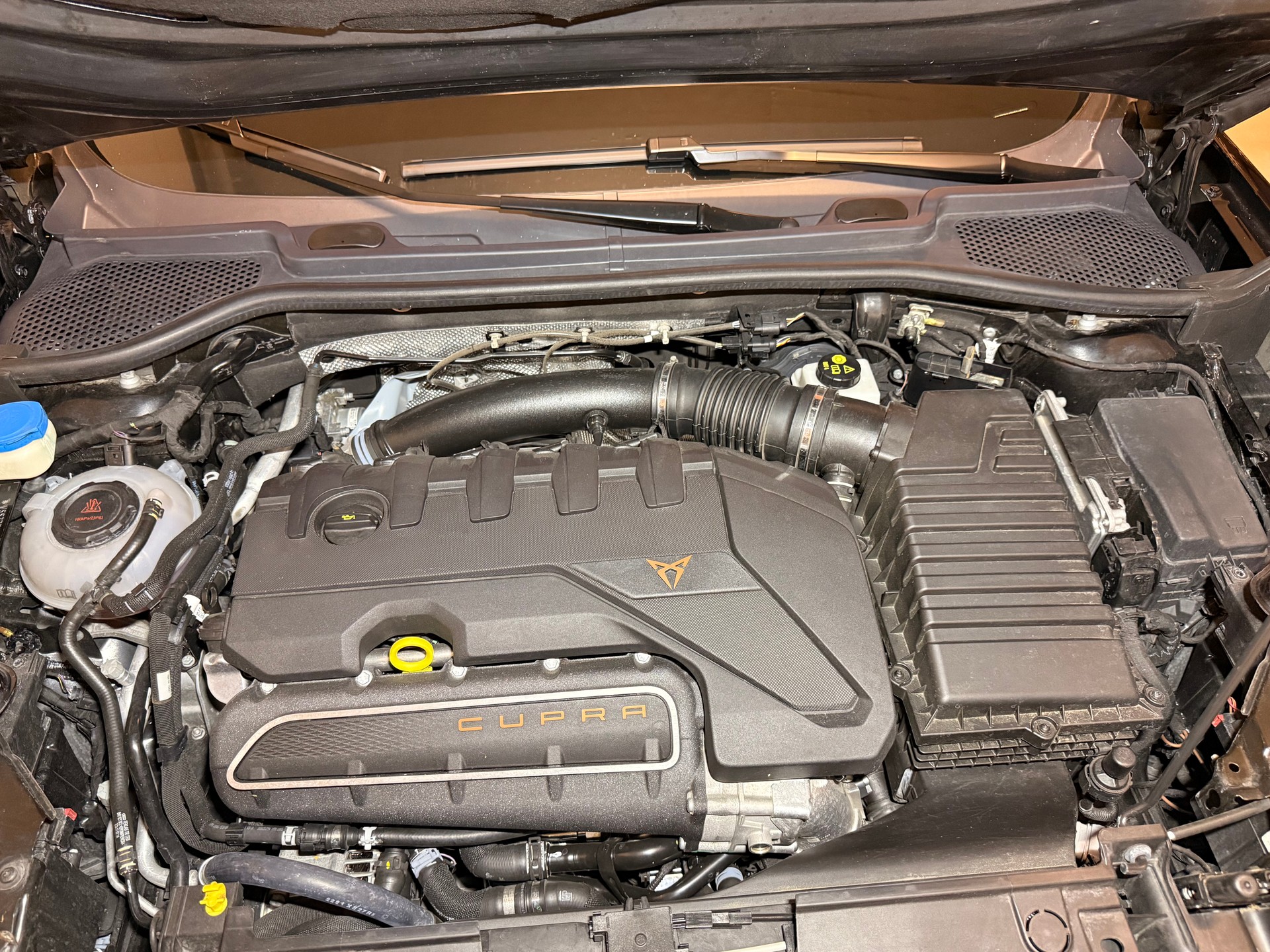 CUPRA 2.5 TSI VZ5 4Drive DSG-image-9