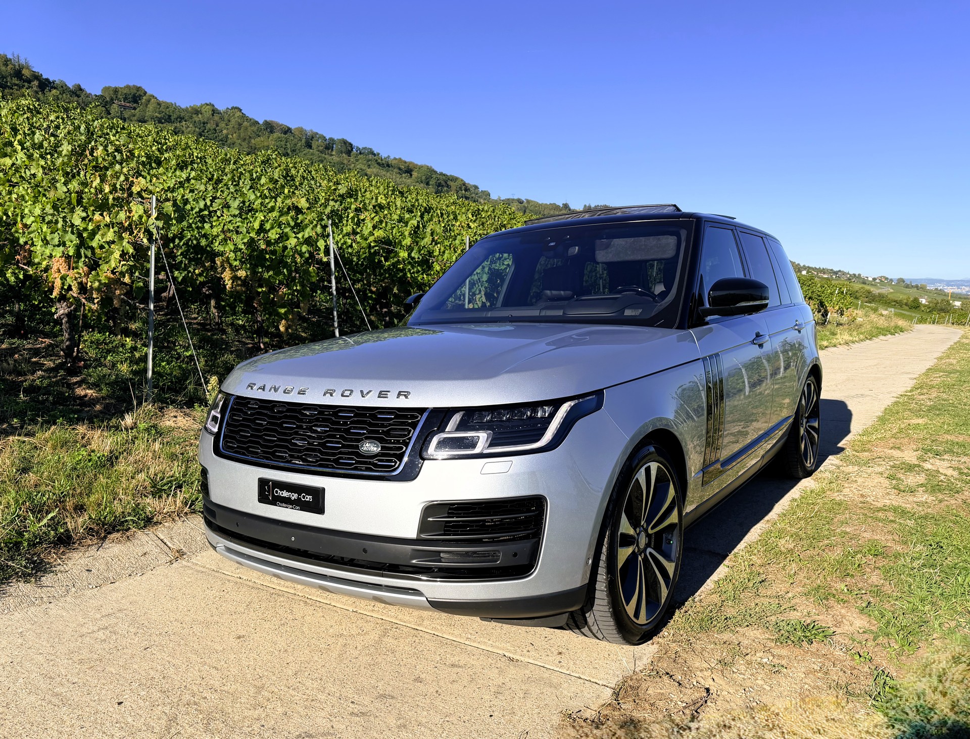 LAND ROVER Range Rover 5.0 V8 S/C SV AB Dynamic Automatic-image-1