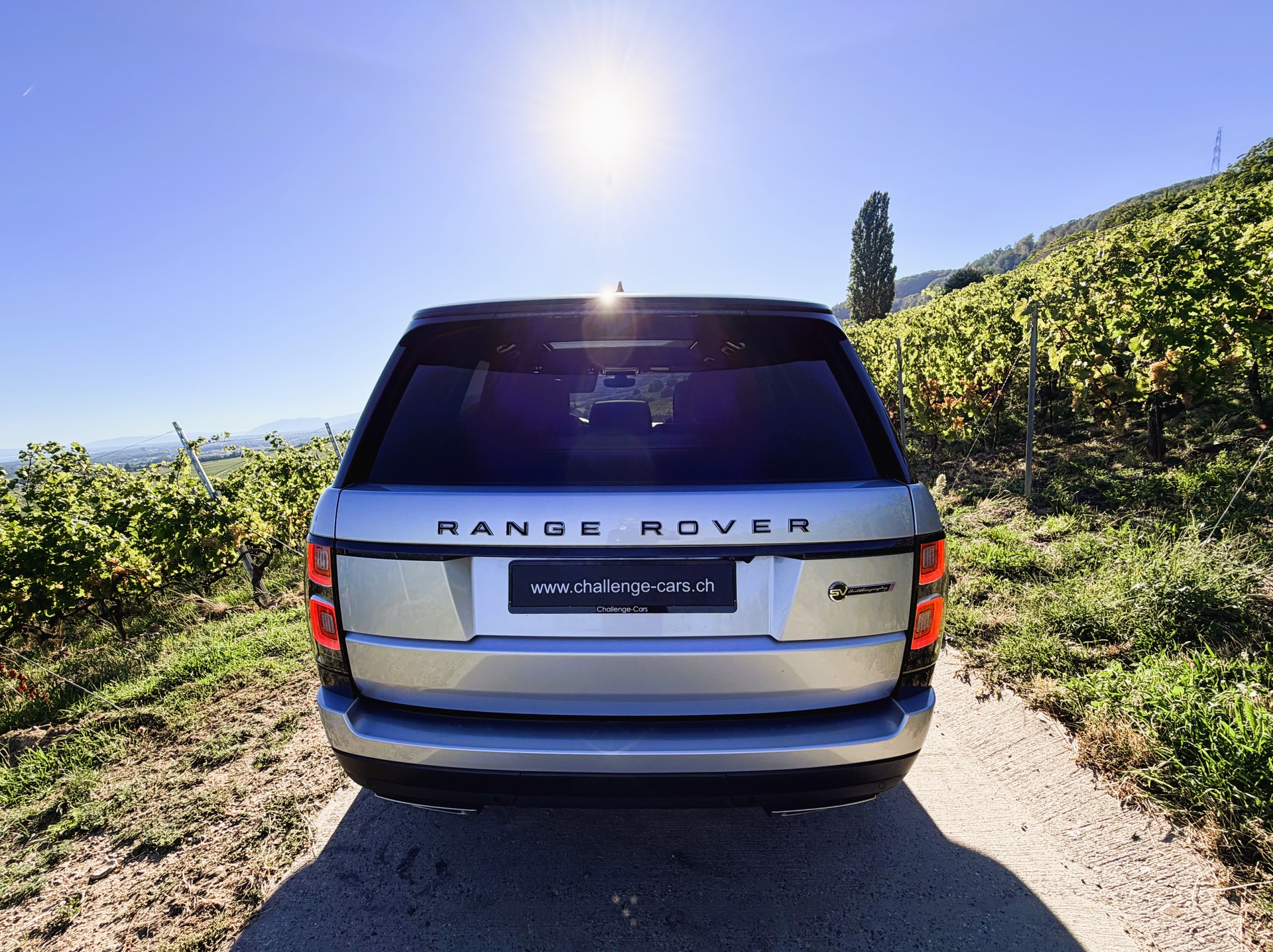 LAND ROVER Range Rover 5.0 V8 S/C SV AB Dynamic Automatic-image-8