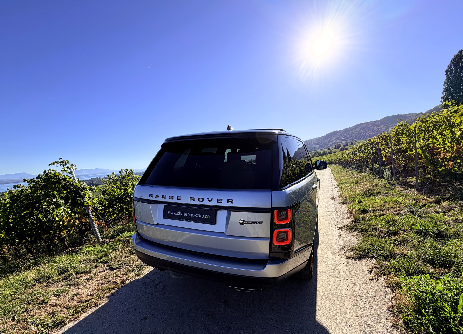 LAND ROVER Range Rover 5.0 V8 S/C SV AB Dynamic Automatic-image-7