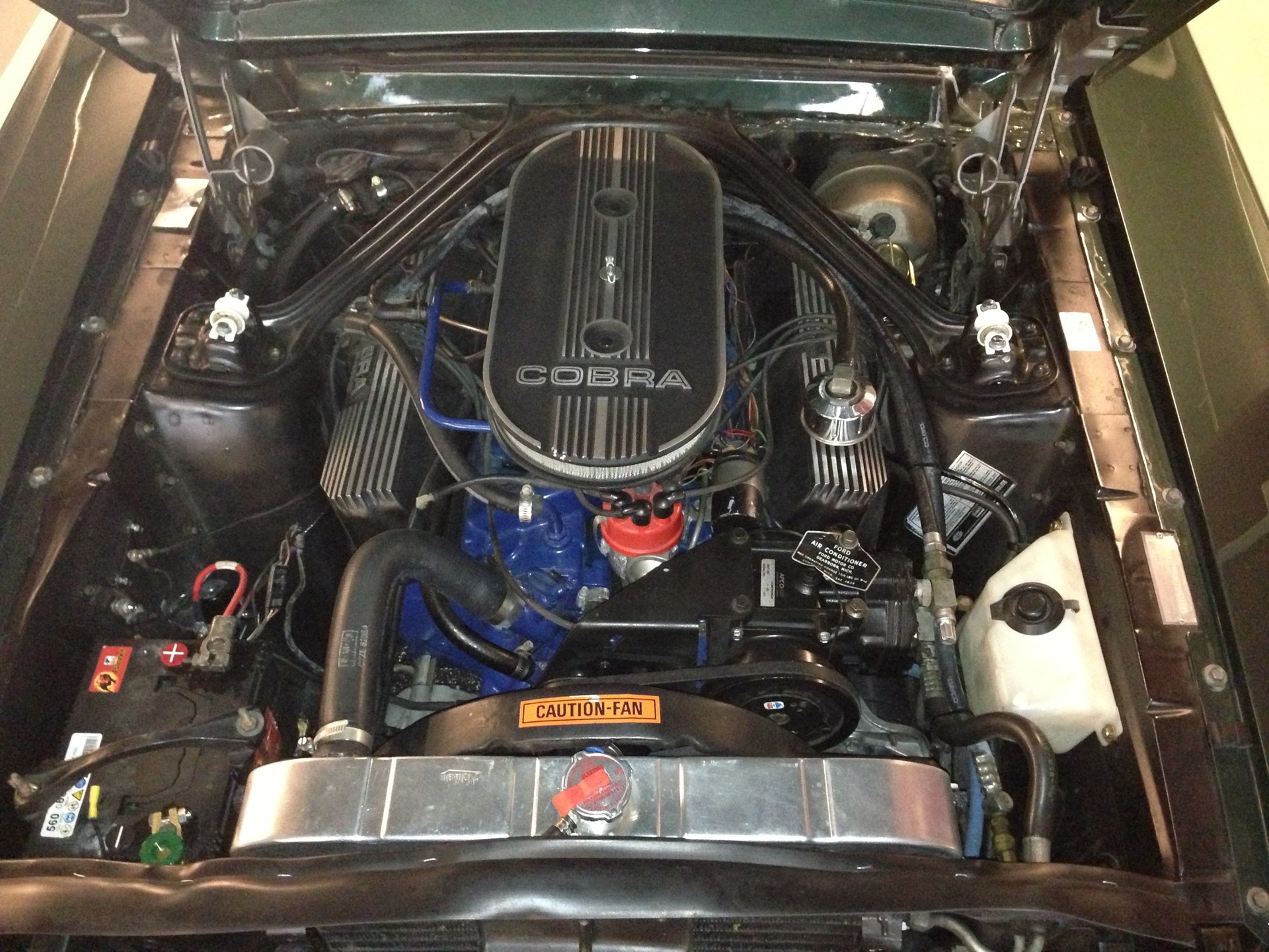FORD MUSTANG Shelby GT500-image-8