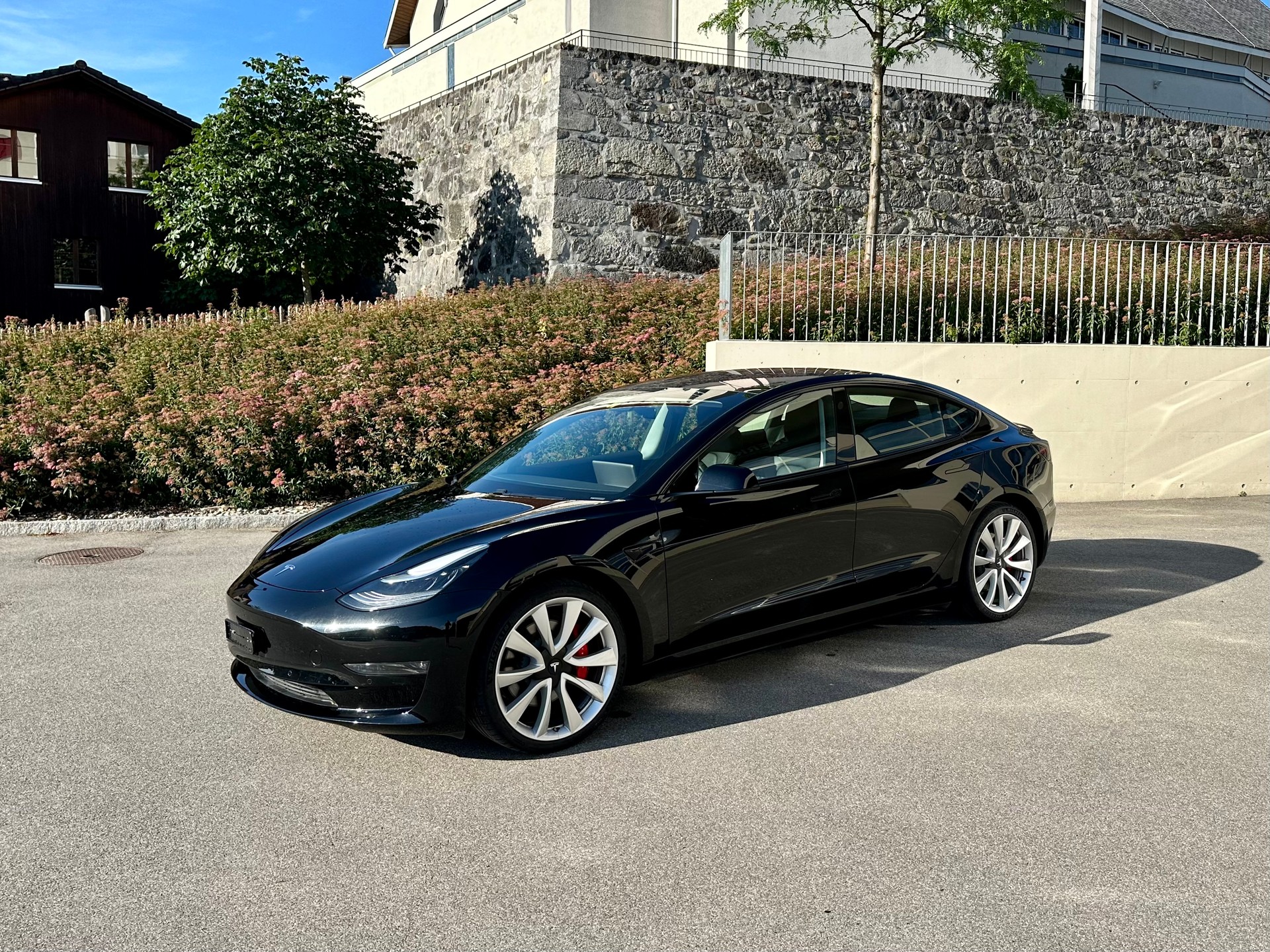 TESLA Performance D-image-0