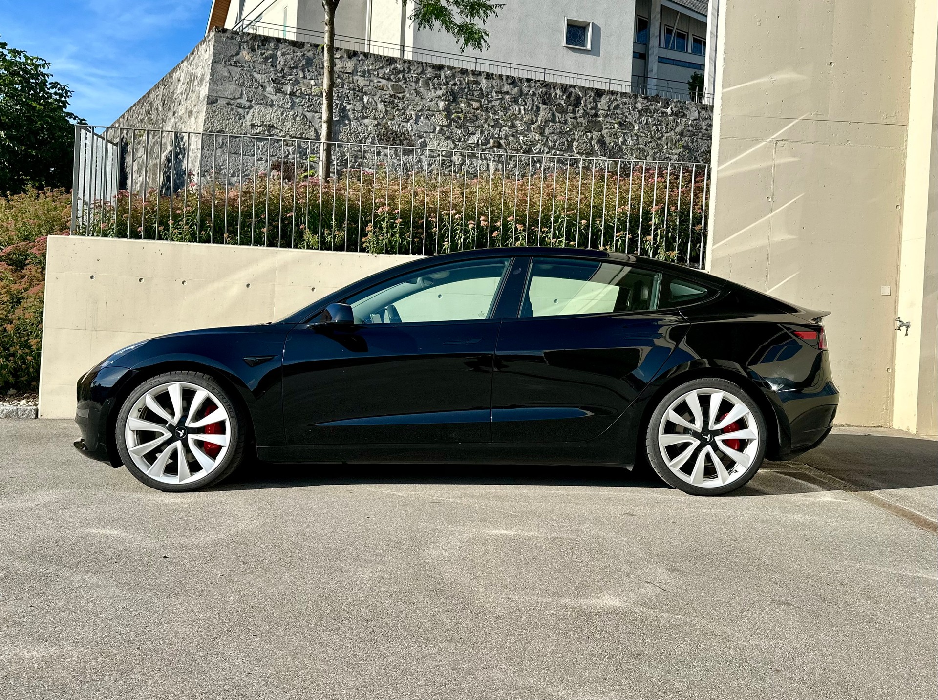 TESLA Performance D-image-1