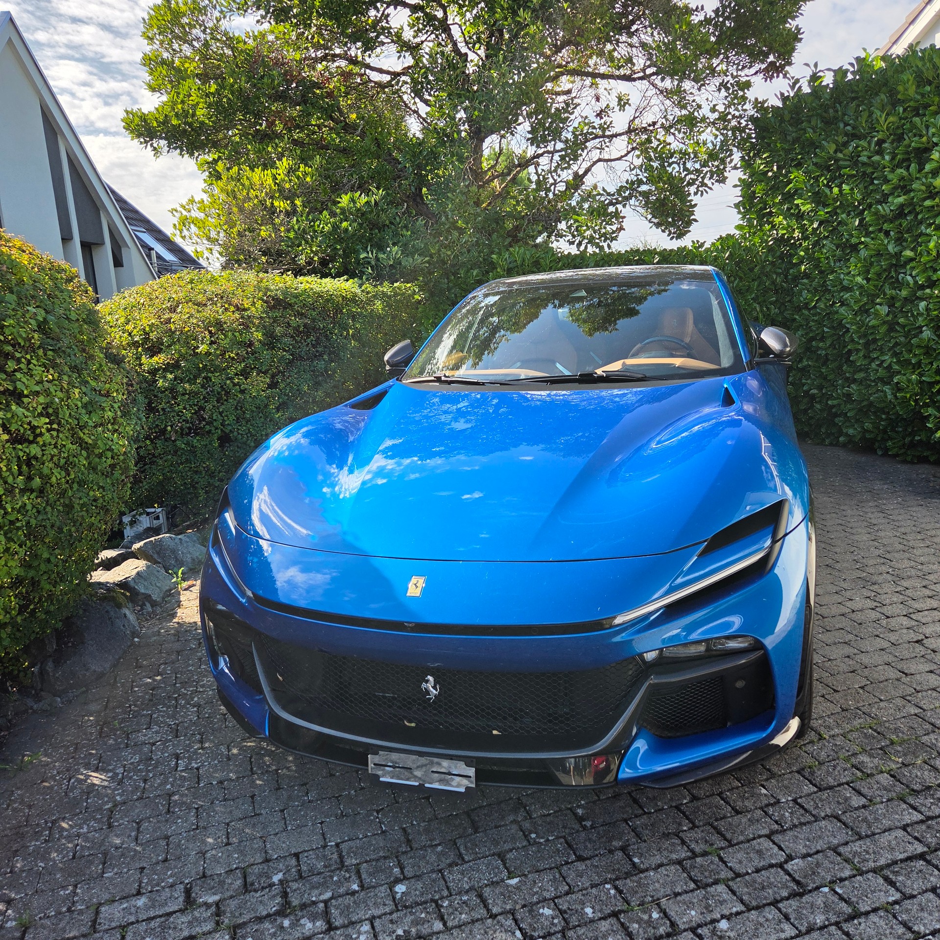 FERRARI 6.5-image-1