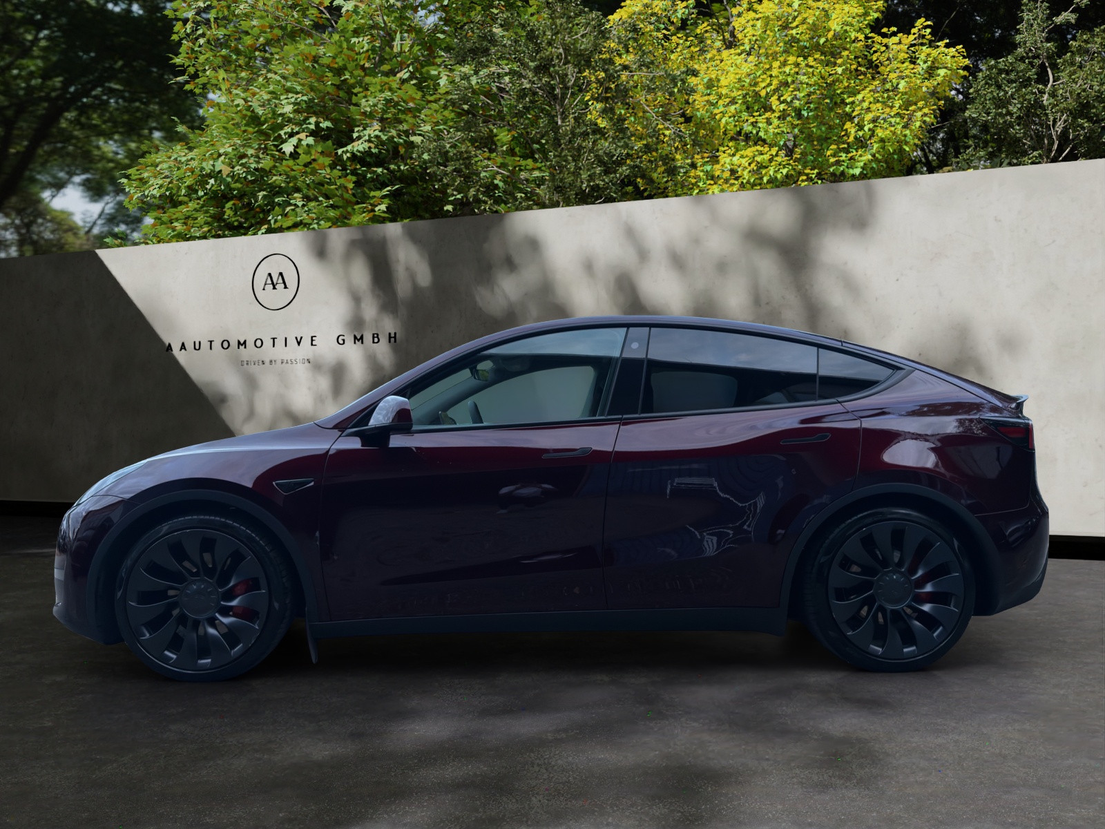TESLA Model Y Performance-image-5
