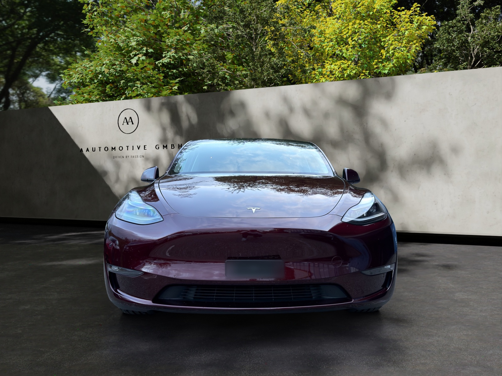 TESLA Model Y Performance-image-2