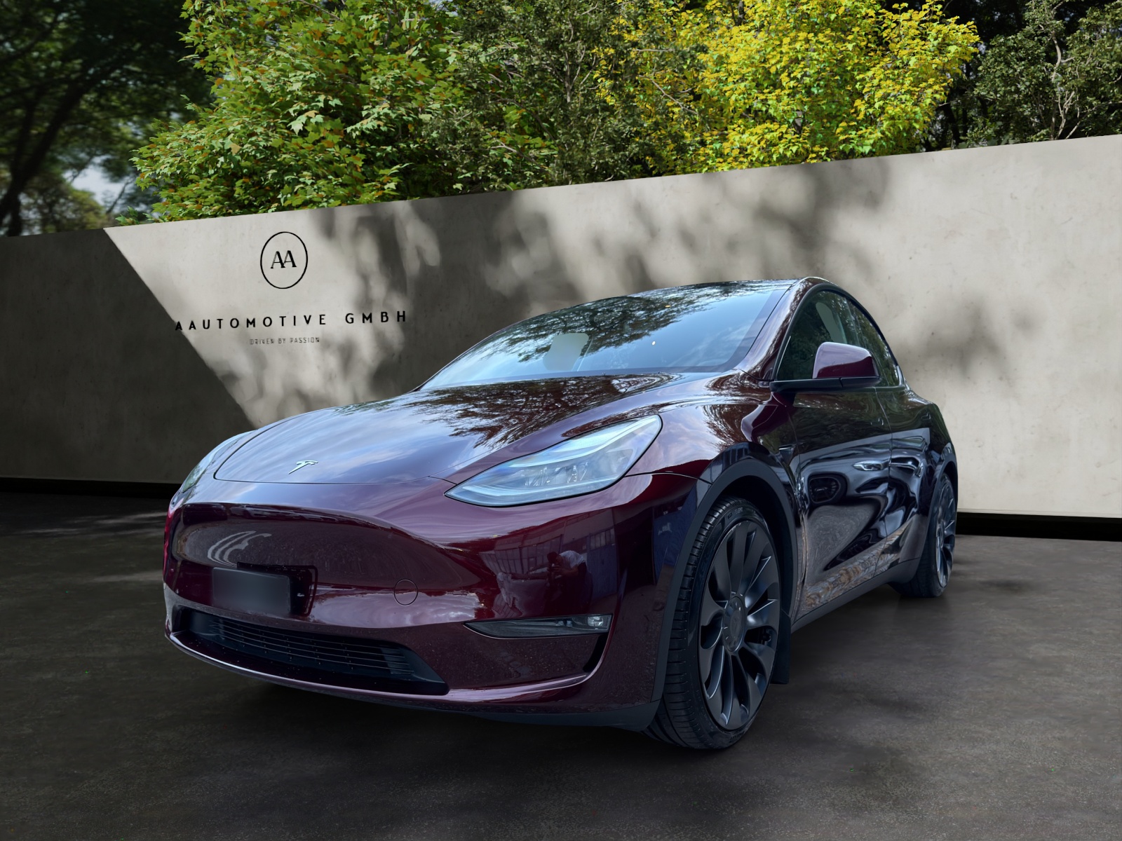 TESLA Model Y Performance-image-1