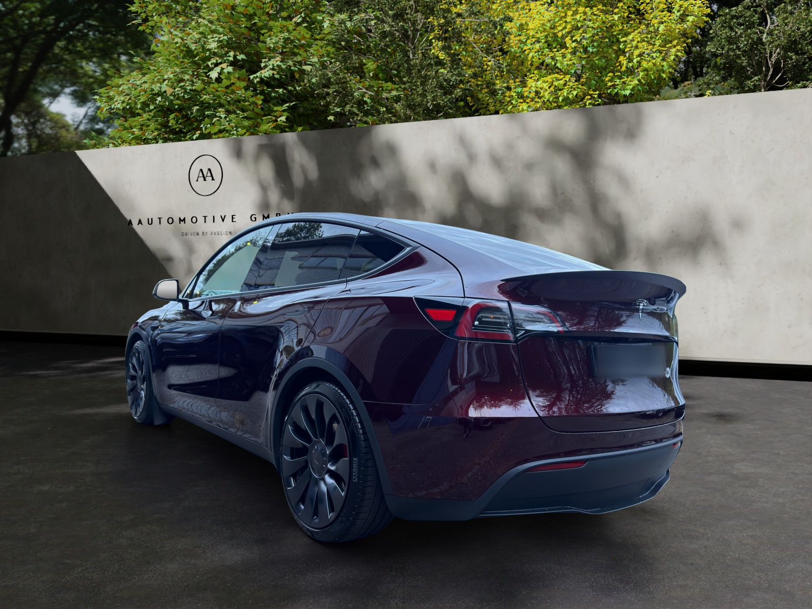 TESLA Model Y Performance-image-6