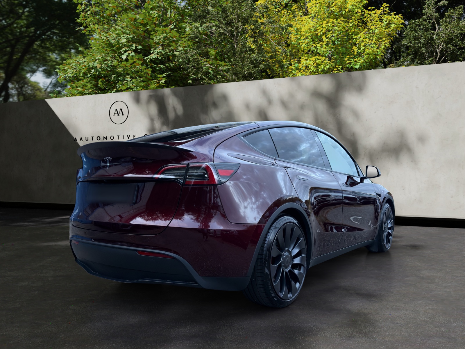 TESLA Model Y Performance-image-3