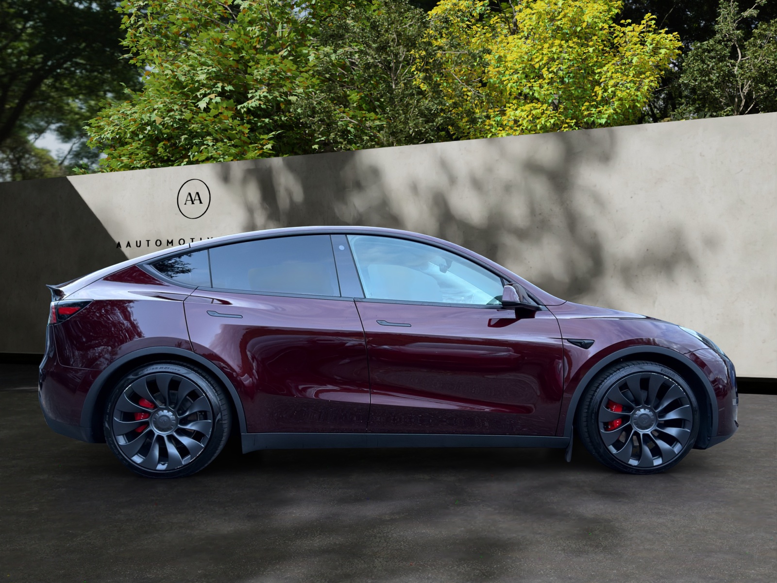 TESLA Model Y Performance-image-4