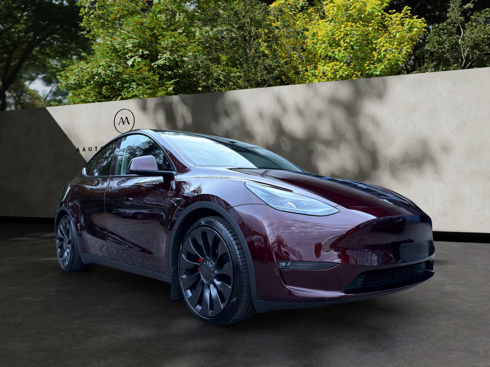 TESLA Model Y Performance-image-0