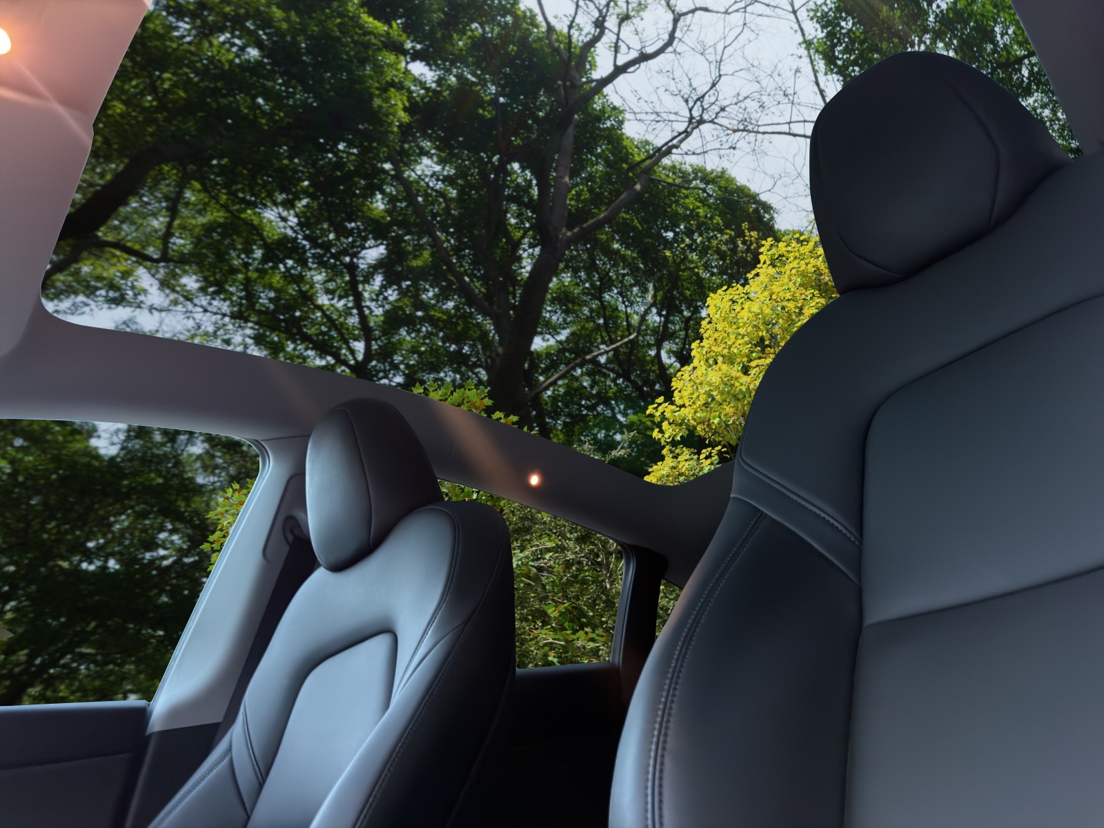 TESLA Model Y Performance-image-18