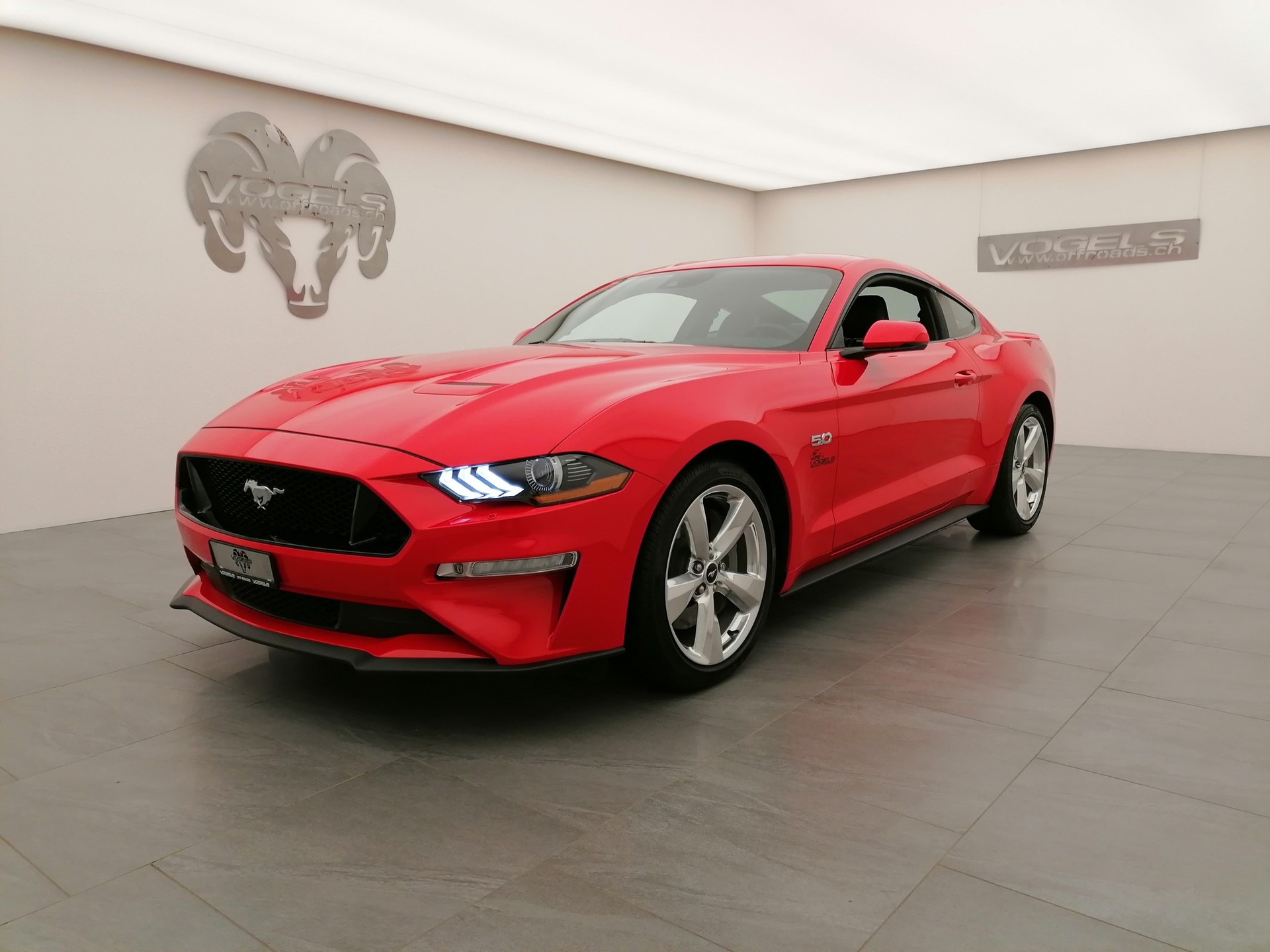 FORD Mustang 5.0 GT Fastback-image-0