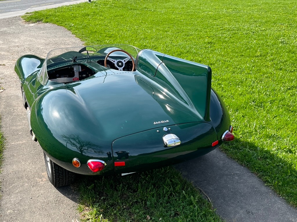 JAGUAR D-Type Shortnose Recreation-image-4