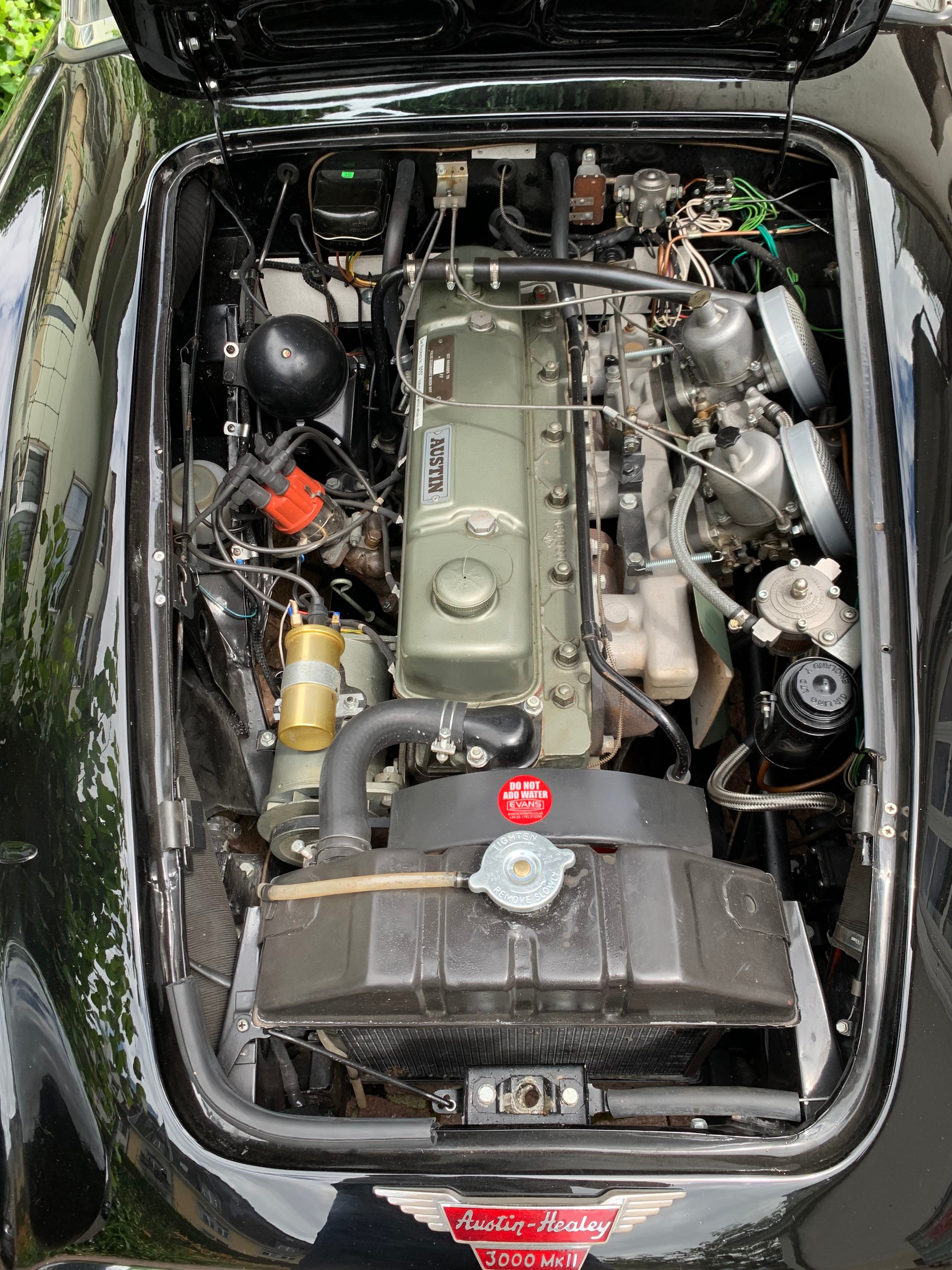 AUSTIN-HEALEY 3000 MK II BJ7-image-6